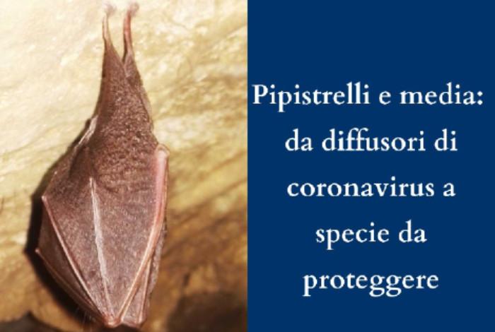 Pipistrello
