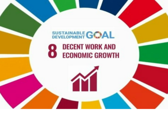 SDG 8