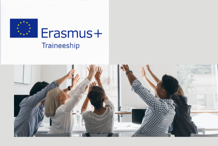 Erasmus traineeship