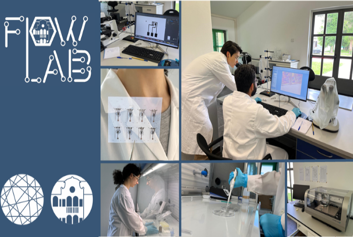 FLOW LAB