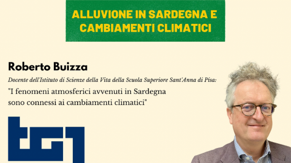 Buizza