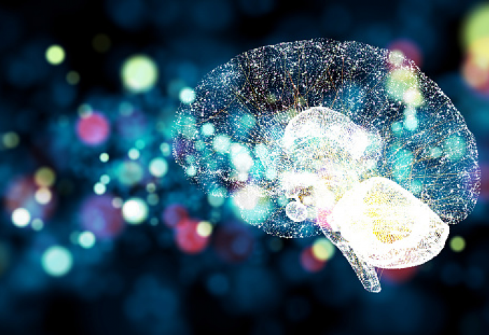 PhD in Cognitive Neuroscience and Philosophy of Mind