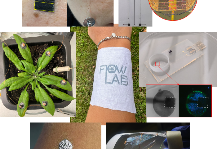 Immagine FLOW Lab