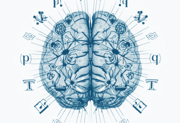 Neurolinguistics, Computational Linguistics, and Theoretical Syntax