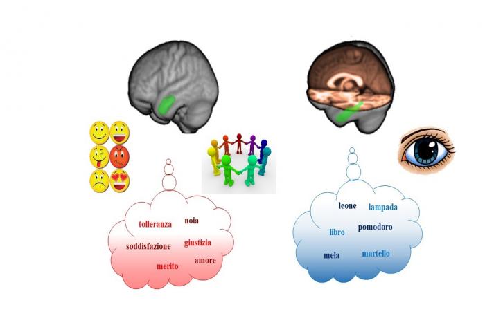 Cervello e pensieri