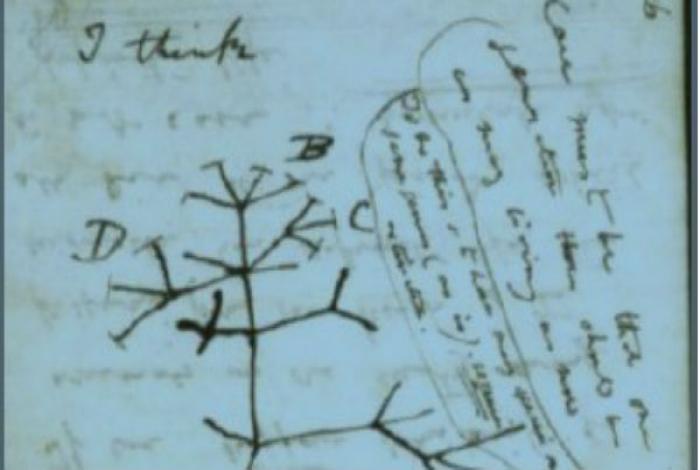 Giornata della memoria