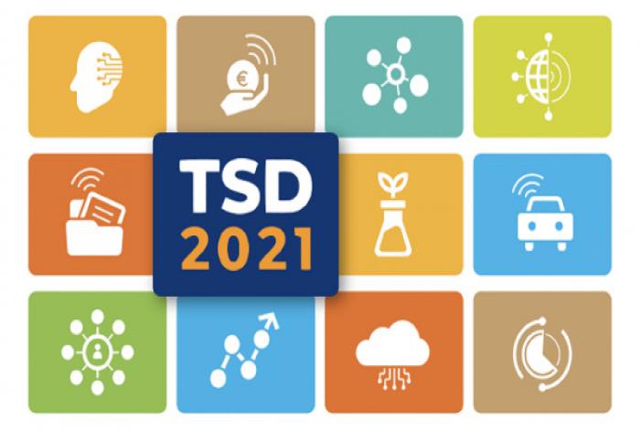 Logo TSD