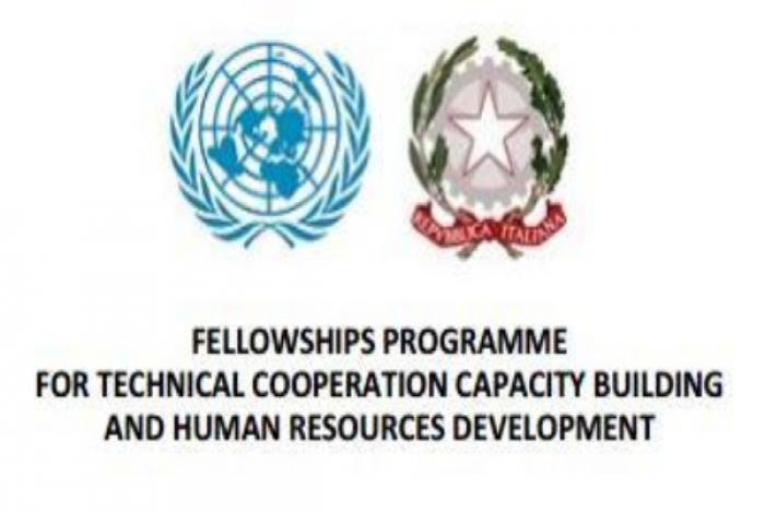 Fellowships programme