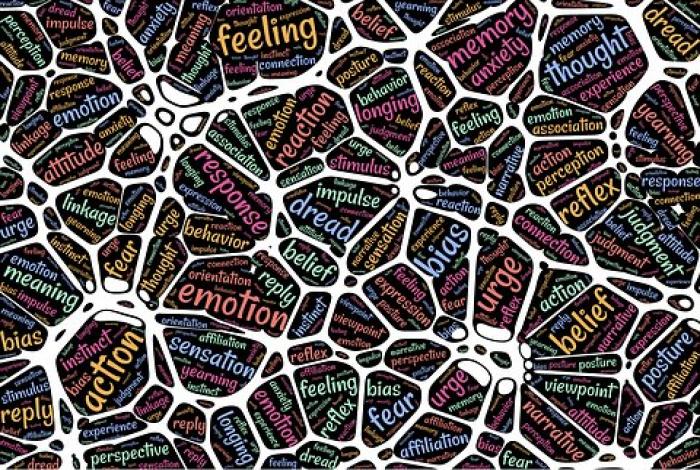 Neuroscienza