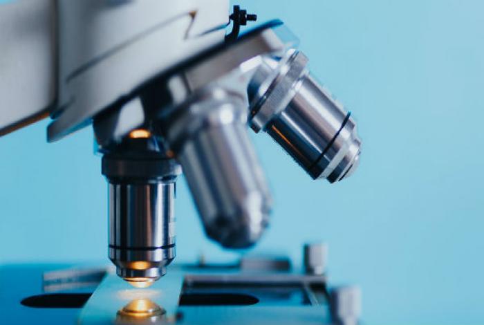 sbb microscopio