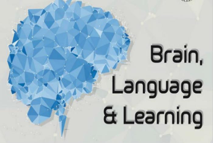 Brain