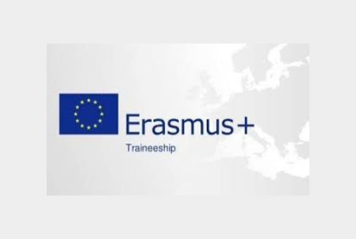 Erasmus traineeship