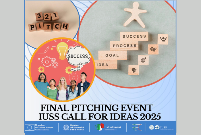 IUSS Call for Ideas 2025
