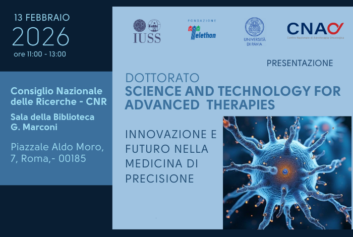 13 FEBBRAIO NEWS NUOVA