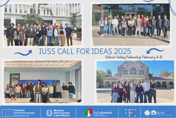IUSS call for ideas 2025