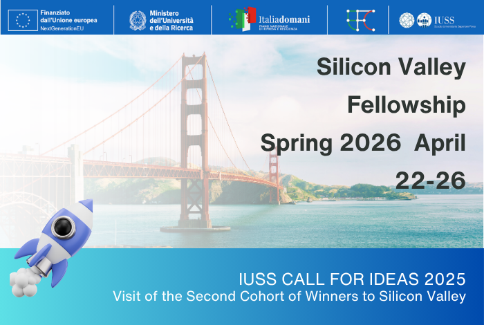 Silicon Valley Fellowship