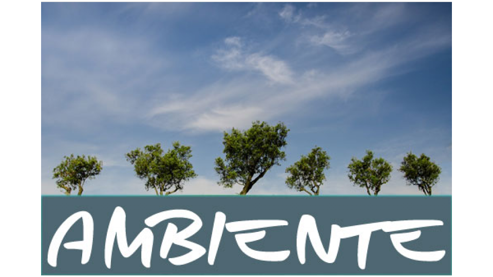 Ambiente