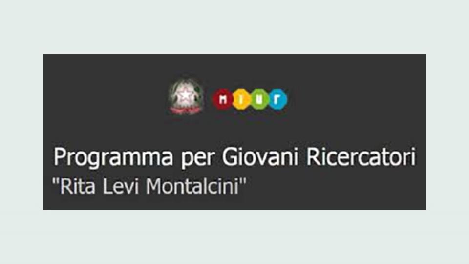 Bando programma per giovani ricercatori