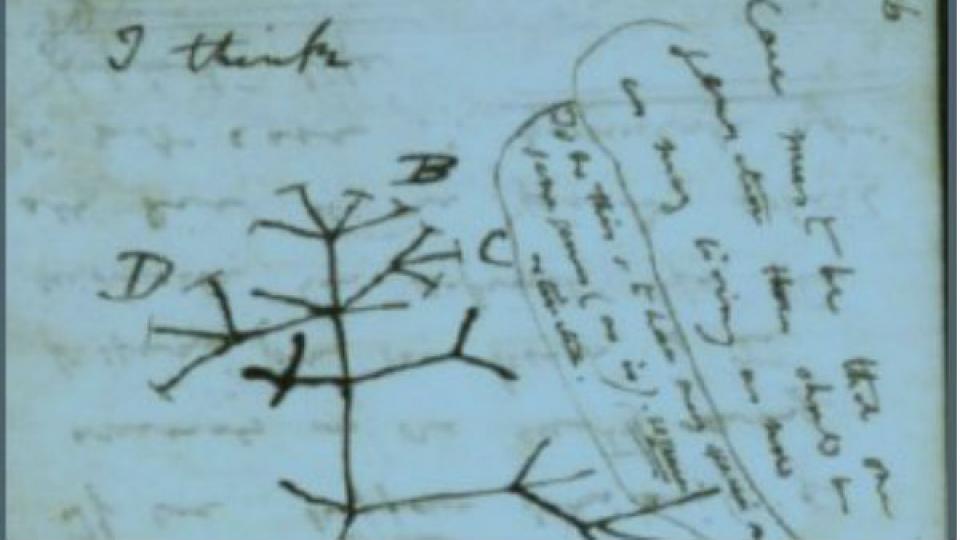Giornata della memoria 