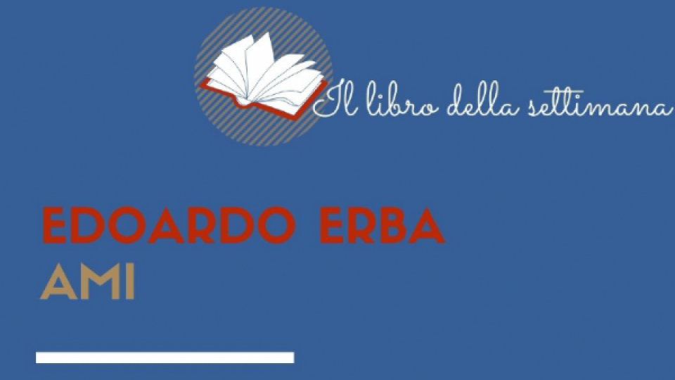 Locandina ami