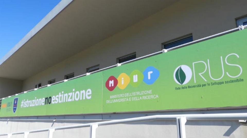 Ola delle università 