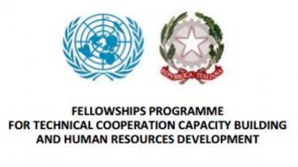Fellowships programme