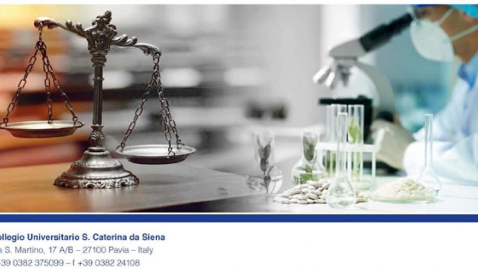 Bilancia diritto e scienza