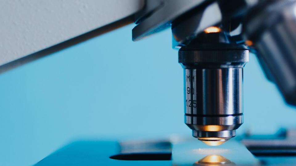 microscopio