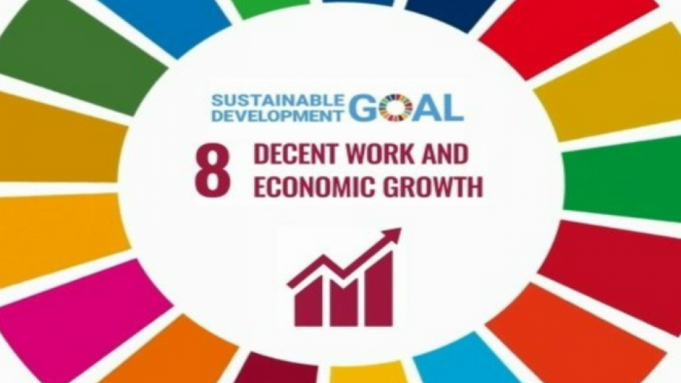 SDG 8