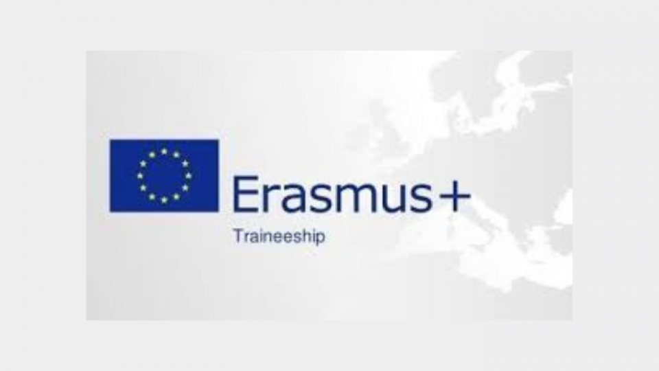 Erasmus traineeship
