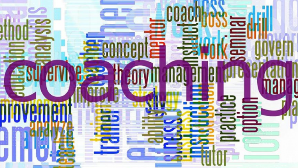 Mentoring