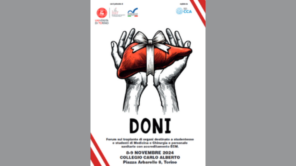 Doni grigio