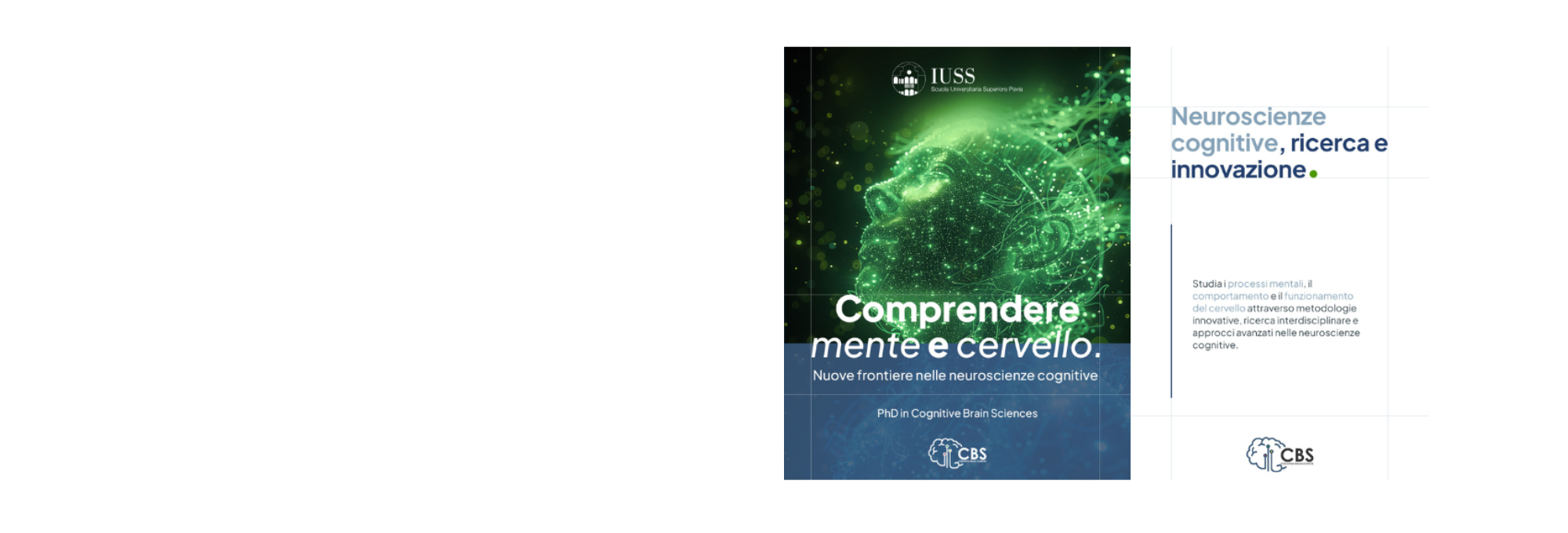 Cognitive Brain Sciences: candidature aperte per il PhD IUSS Pavia (scadenza 15 giugno 2026)