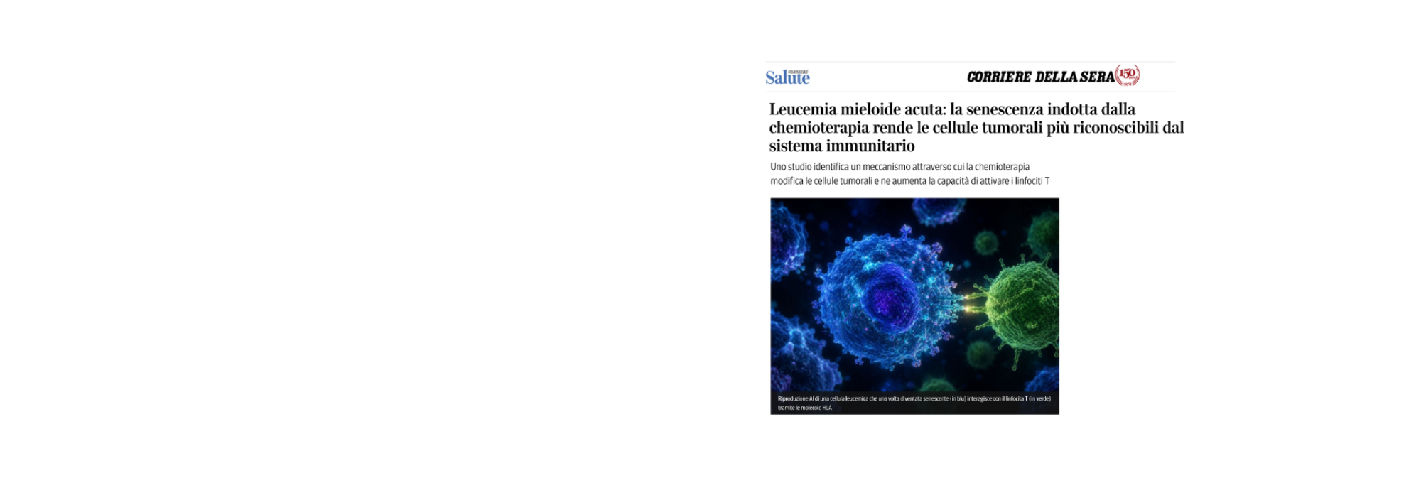 Su Corriere.it la ricerca di Raffaella Di Micco sulla leucemia mieloide acuta